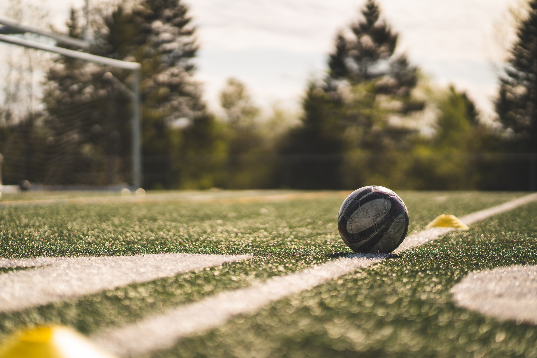 Ball on a Soccer Field