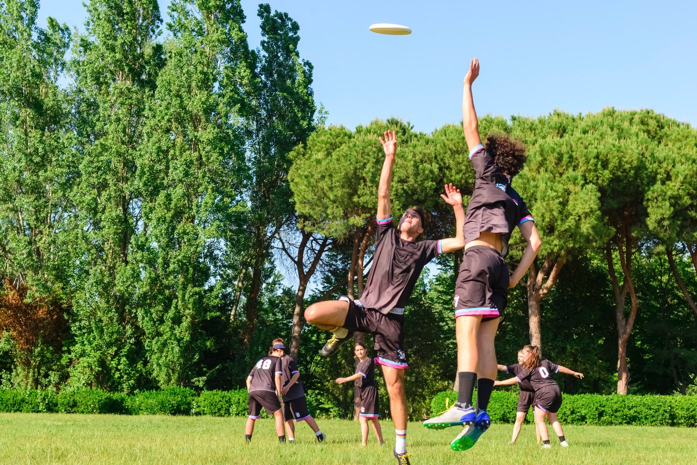 Young Teenagers Playing with a Frisbee in a Field